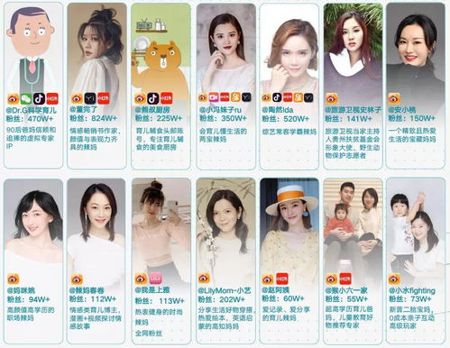 从头部MCN到综合型内容传媒 文心会员与青藤文化的数字化转型与内容制作服务探索